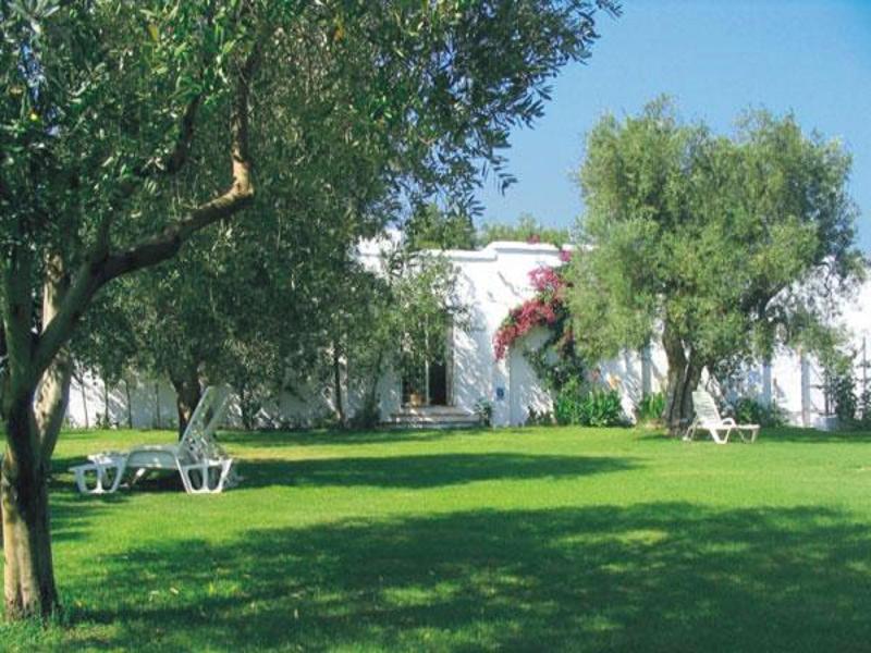 Masseria Narducci มอนตาลบาโน ภายนอก รูปภาพ