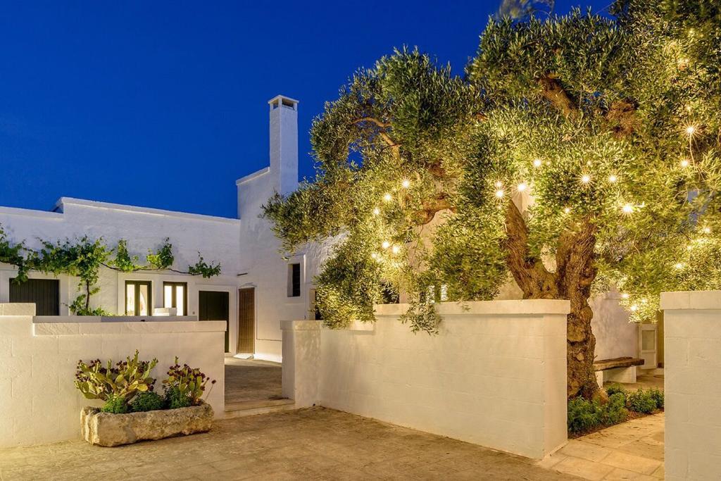 Masseria Narducci มอนตาลบาโน ภายนอก รูปภาพ
