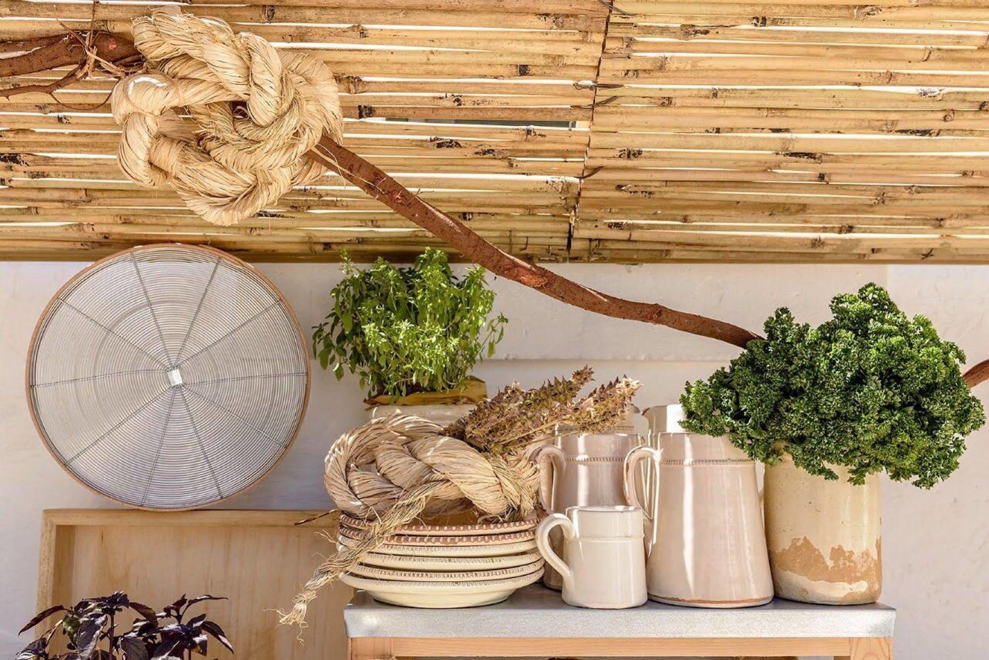 Masseria Narducci มอนตาลบาโน ภายนอก รูปภาพ